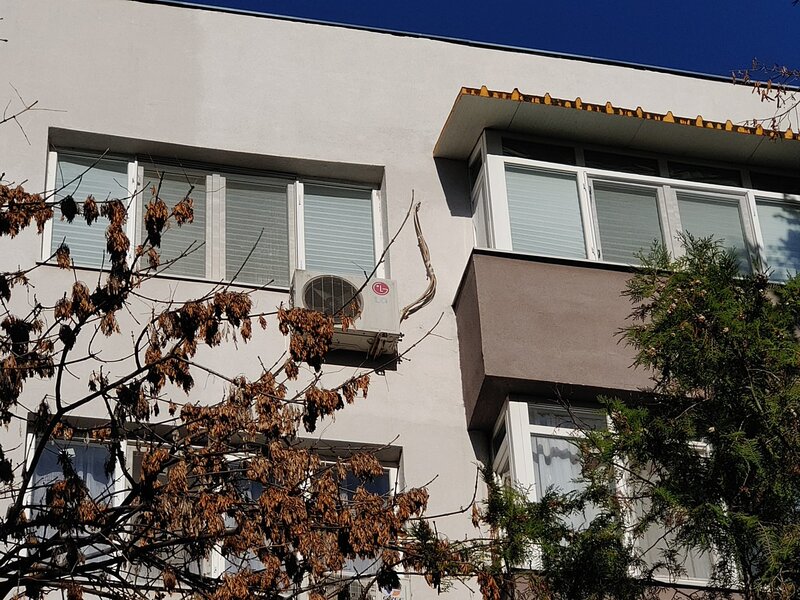 Iuliu Maniu- Lujerului