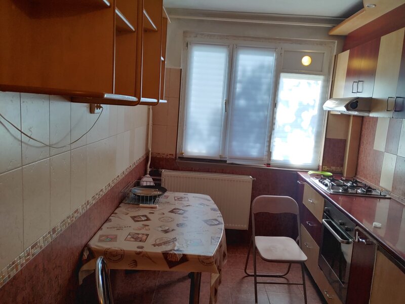 Iuliu Maniu- Lujerului