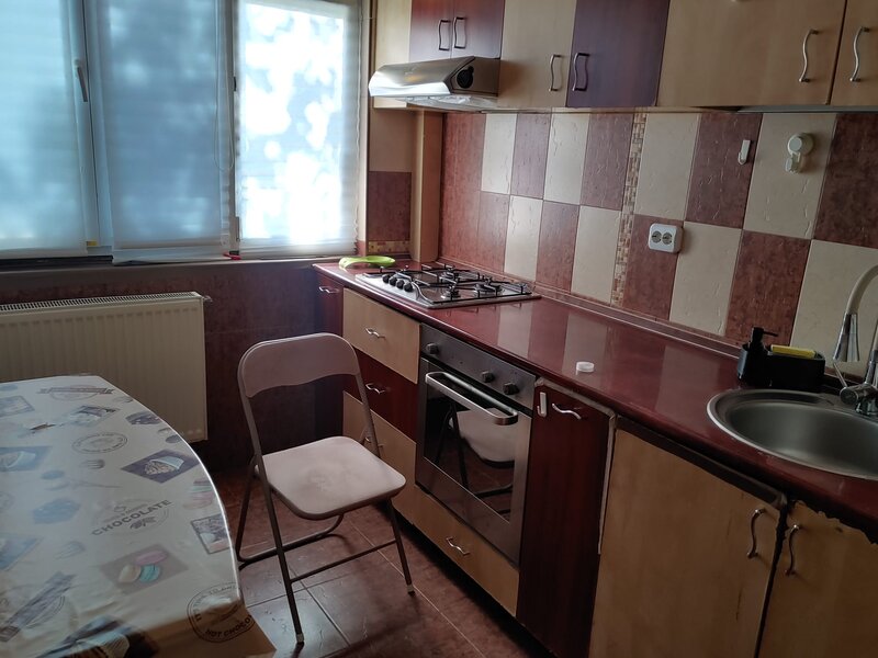 Iuliu Maniu- Lujerului