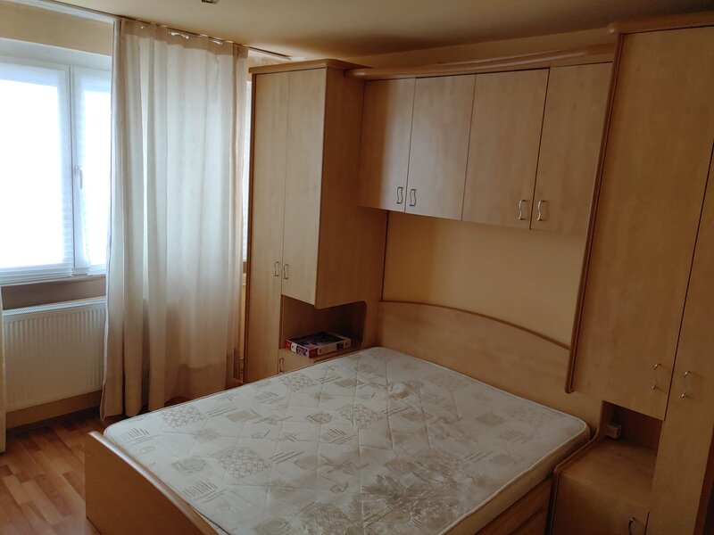 Iuliu Maniu- Lujerului