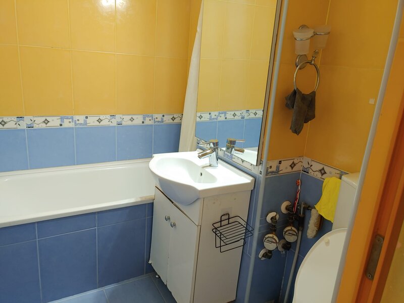 Iuliu Maniu- Lujerului