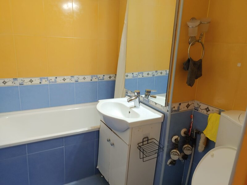 Iuliu Maniu- Lujerului